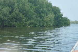 Cartagenassa: Purjehdus Cartagenan mangrovemetsissä: Purjehdus Cartagenan mangrovemetsissä