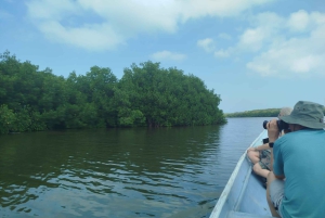 Cartagenassa: Purjehdus Cartagenan mangrovemetsissä: Purjehdus Cartagenan mangrovemetsissä