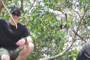 Cartagenassa: Purjehdus Cartagenan mangrovemetsissä: Purjehdus Cartagenan mangrovemetsissä