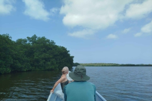 Cartagenassa: Purjehdus Cartagenan mangrovemetsissä: Purjehdus Cartagenan mangrovemetsissä