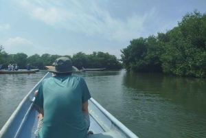 Cartagenassa: Purjehdus Cartagenan mangrovemetsissä: Purjehdus Cartagenan mangrovemetsissä