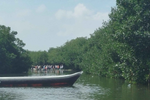 Cartagenassa: Purjehdus Cartagenan mangrovemetsissä: Purjehdus Cartagenan mangrovemetsissä