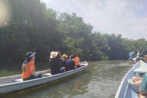 Cartagenassa: Purjehdus Cartagenan mangrovemetsissä: Purjehdus Cartagenan mangrovemetsissä