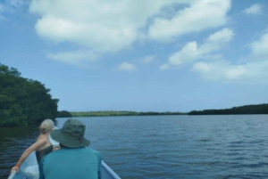 Cartagenassa: Purjehdus Cartagenan mangrovemetsissä: Purjehdus Cartagenan mangrovemetsissä