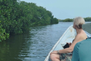 Cartagenassa: Purjehdus Cartagenan mangrovemetsissä: Purjehdus Cartagenan mangrovemetsissä