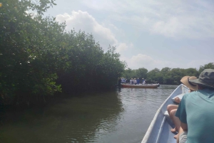 Cartagenassa: Purjehdus Cartagenan mangrovemetsissä: Purjehdus Cartagenan mangrovemetsissä