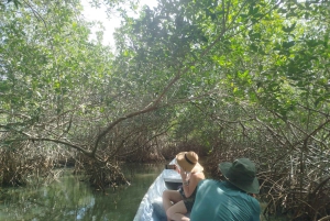 Cartagenassa: Purjehdus Cartagenan mangrovemetsissä: Purjehdus Cartagenan mangrovemetsissä