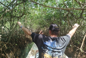 Cartagenassa: Purjehdus Cartagenan mangrovemetsissä: Purjehdus Cartagenan mangrovemetsissä