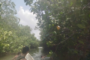 Cartagenassa: Purjehdus Cartagenan mangrovemetsissä: Purjehdus Cartagenan mangrovemetsissä