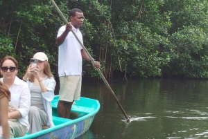 Cartagenassa: Purjehdus Cartagenan mangrovemetsissä: Purjehdus Cartagenan mangrovemetsissä