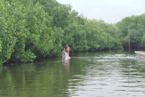 Cartagenassa: Purjehdus Cartagenan mangrovemetsissä: Purjehdus Cartagenan mangrovemetsissä