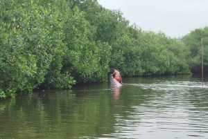 Cartagenassa: Purjehdus Cartagenan mangrovemetsissä: Purjehdus Cartagenan mangrovemetsissä