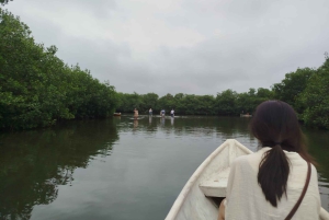Cartagenassa: Purjehdus Cartagenan mangrovemetsissä: Purjehdus Cartagenan mangrovemetsissä