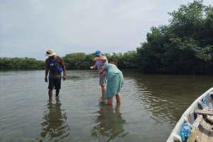 Cartagenassa: Purjehdus Cartagenan mangrovemetsissä: Purjehdus Cartagenan mangrovemetsissä