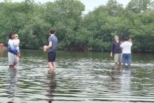 Cartagenassa: Purjehdus Cartagenan mangrovemetsissä: Purjehdus Cartagenan mangrovemetsissä