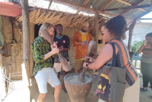 Cartagena: gita di 1 giorno a San Basilio de Palenque con guida