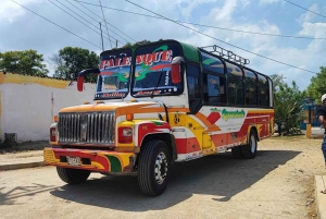 Cartagena: gita di 1 giorno a San Basilio de Palenque con guida