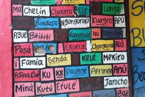 Cartagena: gita di 1 giorno a San Basilio de Palenque con guida