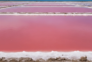 CARTAGENA: Wulkan del totumo, Galerazamba i szlak Manglar de la Boquilla