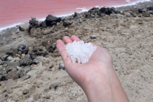 CARTAGENA: Wulkan del totumo, Galerazamba i szlak Manglar de la Boquilla