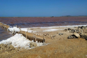 CARTAGENA: Wulkan del totumo, Galerazamba i szlak Manglar de la Boquilla