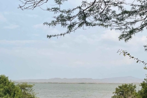 CARTAGENA: Wulkan del totumo, Galerazamba i szlak Manglar de la Boquilla