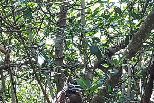 CARTAGENA: Wulkan del totumo, Galerazamba i szlak Manglar de la Boquilla