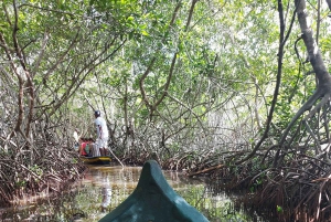 CARTAGENA: Wulkan del totumo, Galerazamba i szlak Manglar de la Boquilla