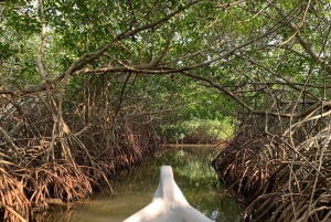 CARTAGENA: Wulkan del totumo, Galerazamba i szlak Manglar de la Boquilla