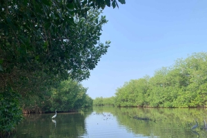 CARTAGENA: Wulkan del totumo, Galerazamba i szlak Manglar de la Boquilla