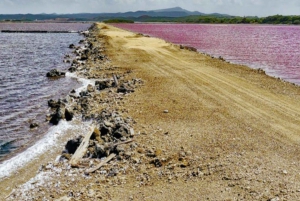 CARTAGENA: Wulkan del totumo, Galerazamba i szlak Manglar de la Boquilla
