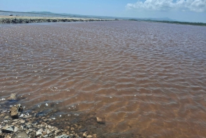 CARTAGENA: Wulkan del totumo, Galerazamba i szlak Manglar de la Boquilla
