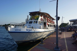 Cartagena: Wycieczka łodzią białą nocą z kolacją i otwartym barem