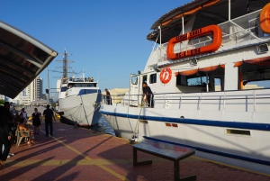 Cartagena: Wycieczka łodzią białą nocą z kolacją i otwartym barem