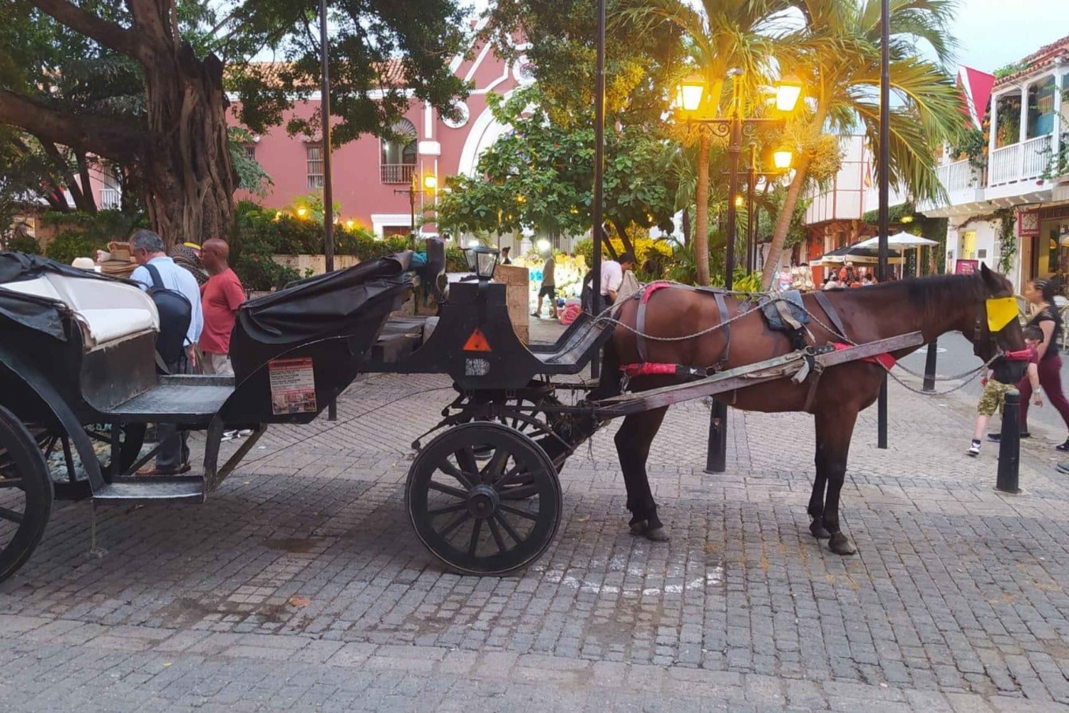 Cartagena: CARRUAJE COLONIAL TIRADO POR CABALLOS por LA CIUDAD VIEJA