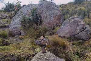 Cundinamarca: excursão a pé guiada pela Trilha Muisca