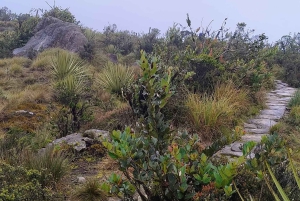 Cundinamarca: excursão a pé guiada pela Trilha Muisca