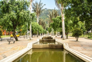 Discover Bogotá: historic center, colonial art, and the Gold Museum