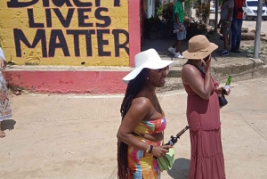 Cartagena: Tour di Palenque, spettacolo di danza, pranzo, pick-up incluso