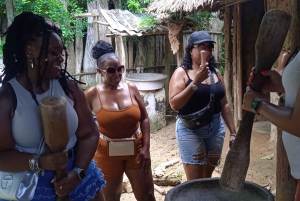 Cartagena: Tour di Palenque, spettacolo di danza, pranzo, pick-up incluso