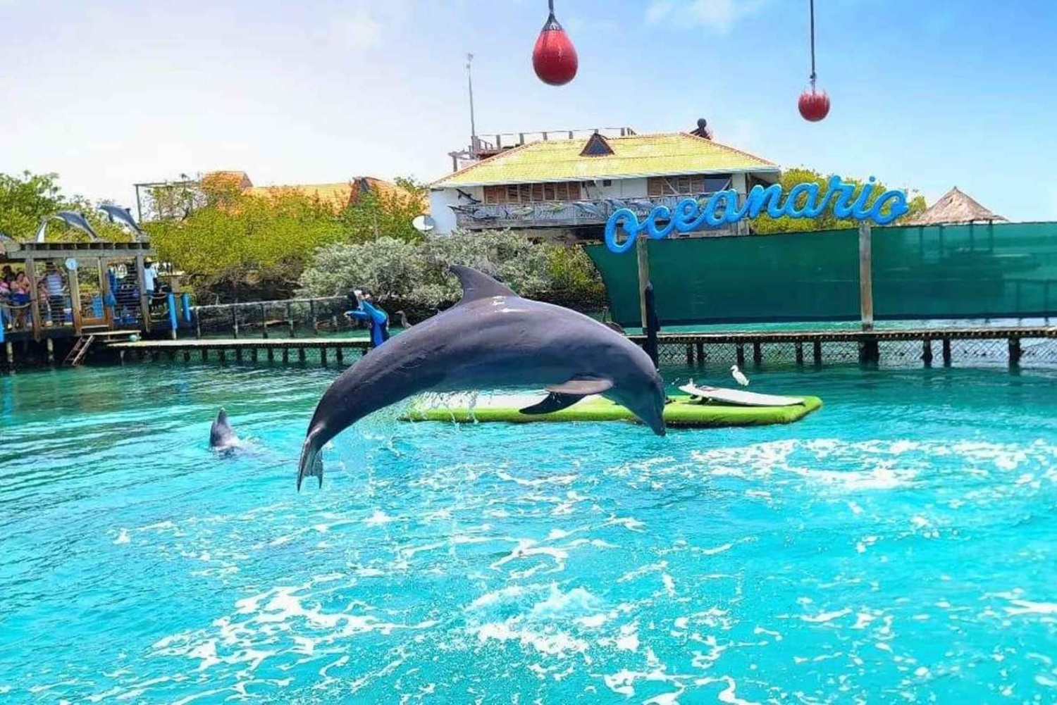 Из Картахены: Полнодневная экскурсия на острова Росарио и в океанариум