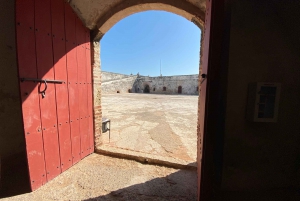 From Cartagena: Speedboat Tour to Tierra Bomba Island