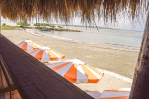 From Cartagena: Speedboat Tour to Tierra Bomba Island