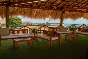 From Cartagena: Speedboat Tour to Tierra Bomba Island