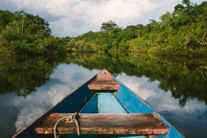 Vanuit Leticia: Amazonas Natuurlijke en Culturele 5-Daagse Tour