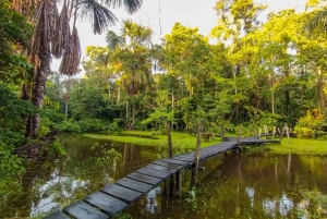 From Leticia: Amazonas Natural and Cultural 5-Day Tour