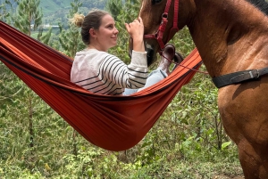 Von Medellin: 100 Jahre alte Finca, Reiten und mehr