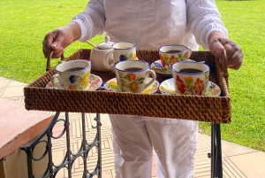 Von Medellin: 100 Jahre alte Finca, Reiten und mehr