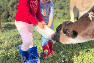 Von Medellin: 100 Jahre alte Finca, Reiten und mehr