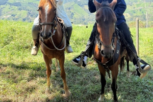 Von Medellin: 100 Jahre alte Finca, Reiten und mehr